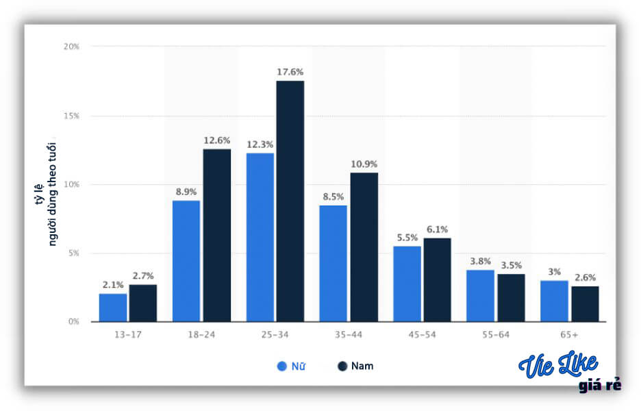 Người dùng Facebook theo tuổi